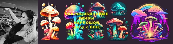 МДПВ Вязники